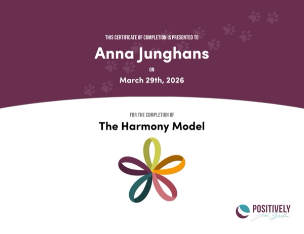 The Harmony Model certificate — Positively Academy