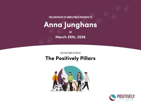 The Positively Pillars certificate — Positively Academy